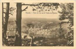 HAMOIR - Point De Vue Sur La Vallée De L'Ourthe - Hamoir