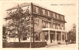 GERPINNES (6280) : Façade De L'Hôtel-Auberge Du Grand Cerf. CPSM. - Gerpinnes