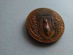 Médaille  Bronze - Profesionales / De Sociedad
