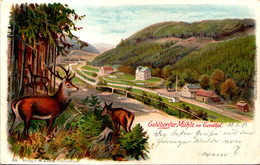 Gehlberger Mühle Im Gerathal - Gera