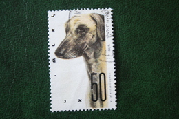 1987 Israel  Hond Dog Hund Chien Used Gebruikt Oblitere - Oblitérés (sans Tabs)