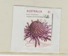 Australien 041/   Fragment Rose Coneflower (Blume) - Used Stamps