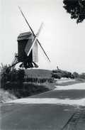 HERZELE (O.Vl.) - Molen/moulin - Zwart-wit Kaart Van Standaardmolen Te Rullegem Kort Na De Restauratie - Herzele