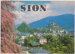 SUISSE,HELVETIA,SWISS,SWITZERLAND,SCHWEIZ,SVIZZERA ,VALAIS,SION,MAYENS, - Sion