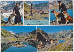 SUISSE,HELVETIA,SWISS,HOSPICE DU GRAND SAINT BERNARD,alpes Pennines,2469m,prés Italie,pretre,chien - Otros & Sin Clasificación