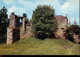 44 - Machecoul : Le Château De Barbe Bleue - Machecoul