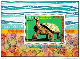 GUINEE EQUATORIALE Tortue, Tortues. Yvert BF 273. Oblitéré. M.S. Used, - Schildpadden