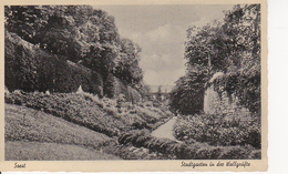 AK Soest - Stadtgarten In Der Wallgräfte (26574) - Soest