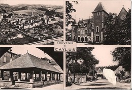 SOUVENIR DE CAYLUS CPSM MULTIVUE - Montaigu De Quercy