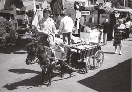 L'AVENTURE CARTO - MARCHAND DE BONBONS SUR LE MARCHE - LE MONT DORE (63) - 1991 - Venters