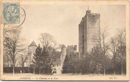AUNEAU - Le Château Et La Tour - Auneau