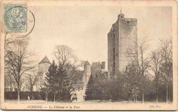 Delcampe - AUNEAU - Le Château Et La Tour - Auneau