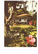 Delcampe - Polynesie Française Tahiti Maison Dans Le District , Carte Non Voyagée - Tahiti