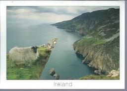 IRLANDE : La Chaussée Des Géants - Andere & Zonder Classificatie