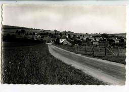 C 19011  -  Torgny (Belgique)   -   L'Entrée Du Village  -  Photo Véritable - Rouvroy