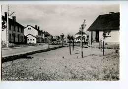 C 19020  -  Aubange  -  Rue Du Stade   -  Photo Véritable - Aubange