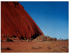 (506) Australia - NT - Ayers Rock Aka Uluru Kangaroo Tail - Uluru & The Olgas