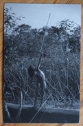 Guyane / Amazonie - Photo D'un Jeune Indien En Pirogue Avec Arc - (n°7337) - Amerika