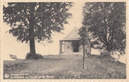 Belgique - Barvaux Sur Ourthe - Le Thénimont Et Chapelle Sainte-Thérèse - Durbuy