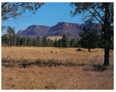 ((505) Australia - SA - Flinders Ranges Pt Bonney - Flinders Ranges