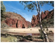 ((505) Australia - NT - Glen Helen Gorge - The Red Centre