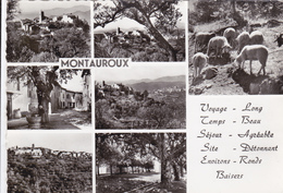 CPSM    MONTAUROUX 83 - Montauroux