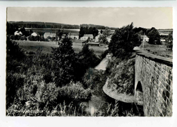 C 19043  -  Tony-Amberloup   -  Le Camping  -  Photo Véritable - Sainte-Ode