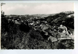 C 19044  -  Awirs  (Engis)  -  Panorama  -  Photo Véritable - Engis