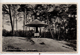 CPA.Pays-Bas.Driebergen.De Paddestoel In Het Bosch. - Driebergen – Rijsenburg