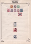 Belgique - Collection Vendue Page Par Page - Timbres Oblitérés / Neufs *(avec Charnière) -Qualité B/TB - Oblitérés