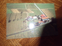 LE BEAUJOLAIS ...DOMAINE DE VAUXONNE ...JOSEPH ET RENE MICHAUD - Gleize