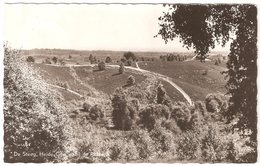 De Steeg - Heide - Gezicht Nabij De Posbank - 1965 - Rheden