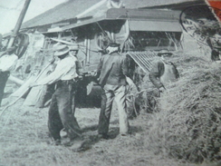 CPA 71 Saône Et Loire En Morvan Le Battage Du Blé Gros Plan Agriculture - Autres & Non Classés