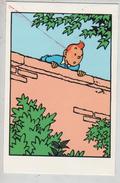 Cpm St002430 Tintin , Escalade Mur Extrait Case L'ile Noire - Hergé