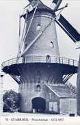 STABROEK (Antwerpen) - Molen/moulin - Blauwe Prentkaart Ons Molenheem Van De Stenen Molen (nu Nog Romp) - Stabroek