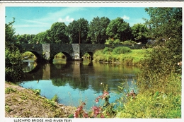 UK-LLECHRYD BRIDGE AND RIVER TEIFI - Cardiganshire