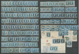 Collection. Nos 14I Et 14II, Dont Paire, Bande De Trois, Bloc De Quatre, Bande De Quatre, Bande De Cinq, Nuances Et Obl, - 1853-1860 Napoleon III