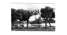 VIGNEUX SUR SEINE ... LE LAC - Vigneux Sur Seine