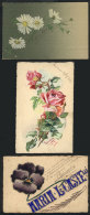 HAND-PAINTED Flowers, 3 Old Postcards (used), VF Quality - Unclassified