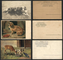 33 Postcards (14 Unused), Topics: ANIMALS & PETS, VF Quality - Unclassified