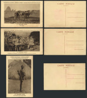 Second CITROËN Mission To Central Africa By Haardt And Audouin-Dubreuil In 1924: 12 Postcards With Excellent... - Central African Republic