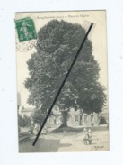 CPA    -   Bourgtheroulde  (Eure) - Place De L'église  -  ( Arbre ) - Bourgtheroulde