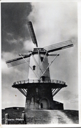 Veere. Molen - Veere