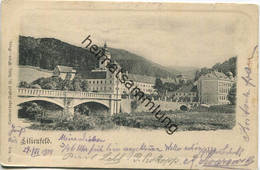 Lilienfeld - Verlag H- Kölz Wien-Graz Gel. 1901 - Lilienfeld