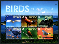 MICRONESIA 2015** - Uccelli / Birds - Block Di 6 Val. MNH Come Da Scansione - Non Classificati