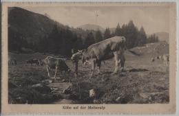 Kühe Vaches Auf Der Molseralp - Stempel: Flums - Photo: Gebr. Fetzer - Flums