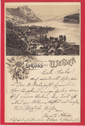 WEESEN, LITHO, 1903 - Weesen