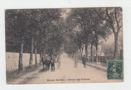 72 - BRULON / AVENUE DES FRESNES - Brulon