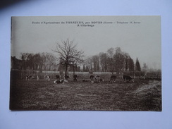 BOVES. Ecole D'agriculture Du Paraclet. A L'herbage - Boves