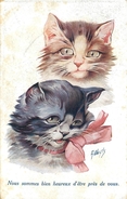 A. WUYTS - ILLUSTRATEUR - CHAT - CAT - " NOUS SOMMES BIEN HEUREUX D'ÊTRE PRES DE VOUS " - CPA . - Wuyts